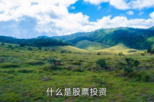 什么是股票投资
