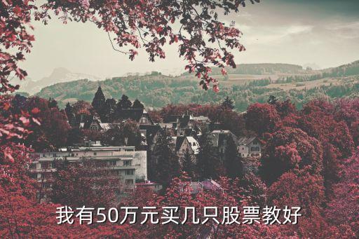 我有50万元买几只股票教好
