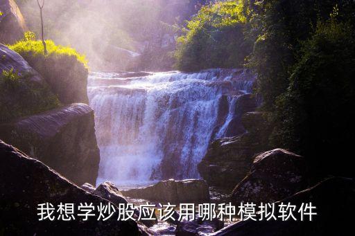 机构用什么股票模拟软件，虚拟炒股软件有哪些