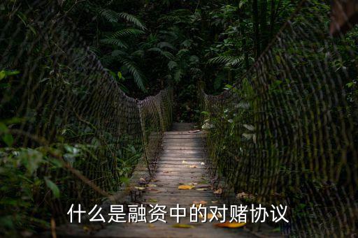 什么是融资中的对赌协议