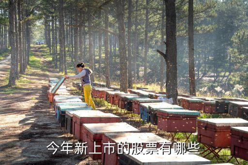 股市有什么新的股票，请问最近有没有什么新股票上市