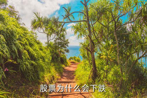 股票为什么会下跌