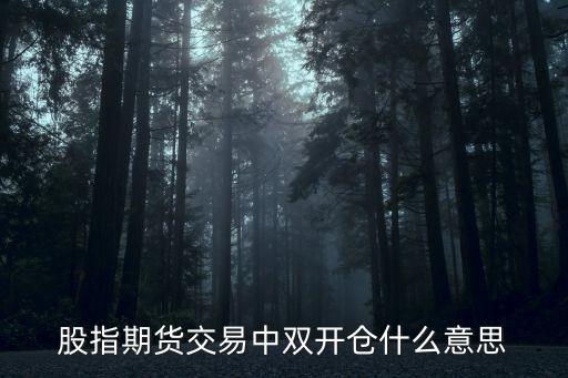 股指期货交易中双开仓什么意思