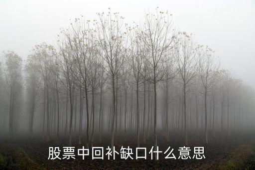 股票中回补缺口什么意思