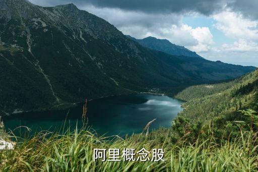 阿里巴巴有什么股票，阿里概念股都有哪些上市公司