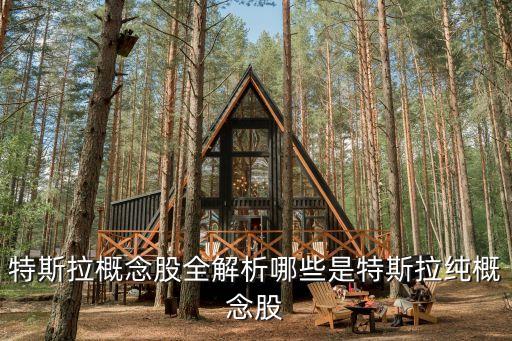 特斯拉概念股全解析哪些是特斯拉纯概念股