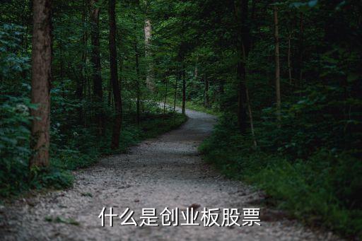 什么是创业板股票