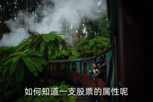 如何知道一支股票的属性呢