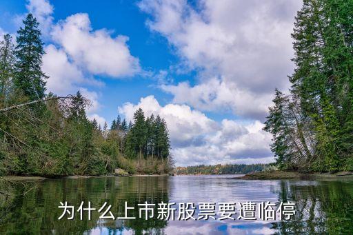 为什么上市新股票要遭临停