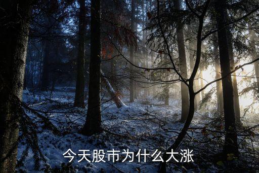 为什么今天汽车股票上涨，今天股市为什么大涨