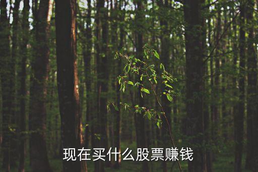 厦门银行有什么股票吗，现在哪只股票比较看好