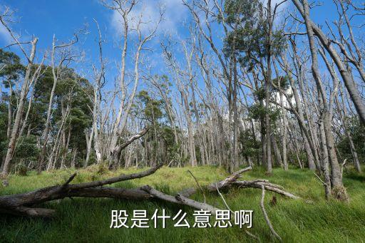 股票的股是什么意思啊，股是什么意思啊