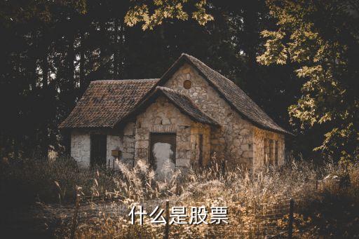 什么是股票