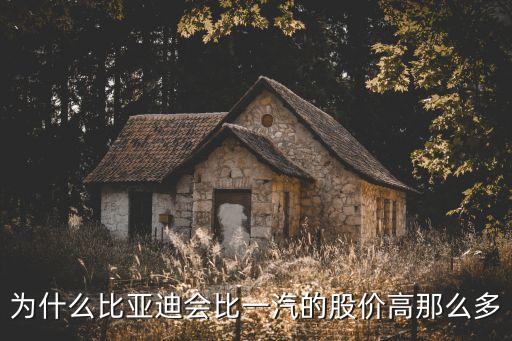 为什么比亚迪会比一汽的股价高那么多