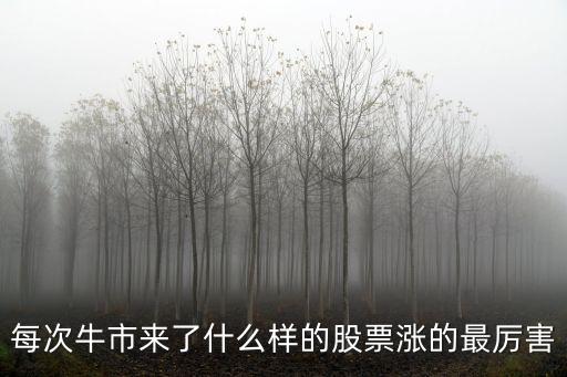 每次牛市来了什么样的股票涨的最厉害