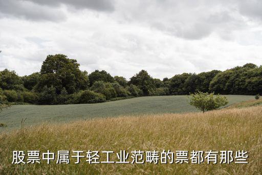 股票中属于轻工业范畴的票都有那些