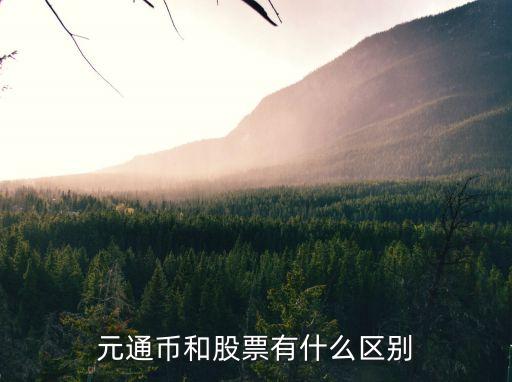 元通币和股票有什么区别