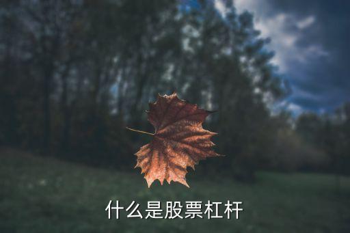 什么是股票杠杆