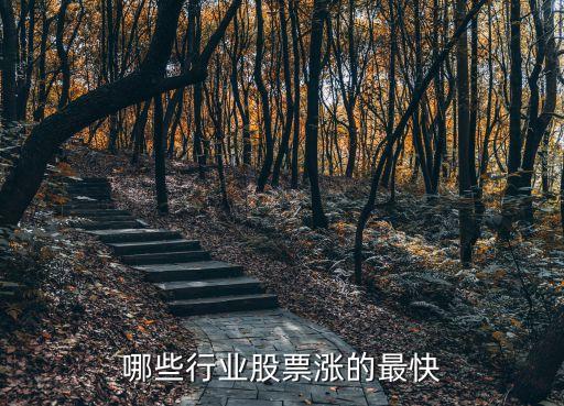 什么行业股票升值快，什么股票升值最快