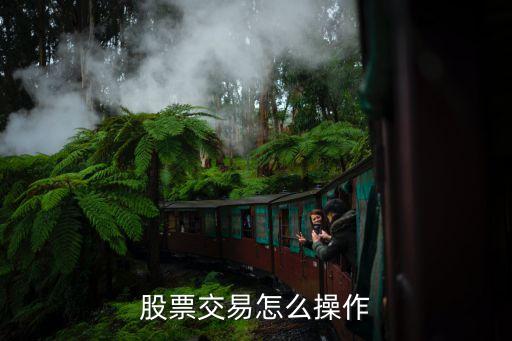 股票交易怎么操作