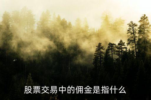 股票交易中的佣金是指什么
