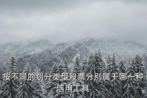 按不同的划分类型股票分别属于哪一种信用工具