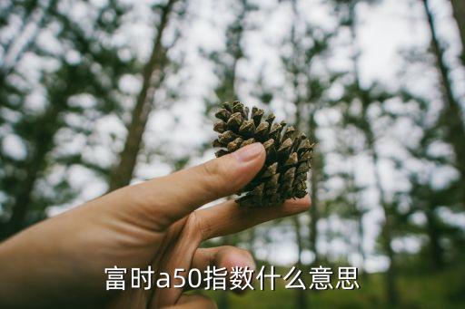 股票A50是什么意思，A50交割是什么意思