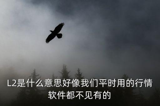 l2是什么类型股票，通达信L2有深圳的没