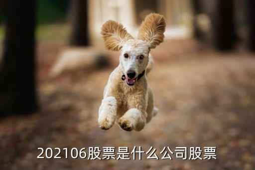 202106股票是什么公司股票