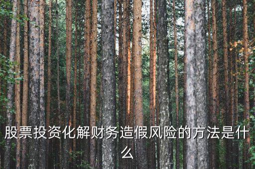 财务造假用什么股票软件，人员如何利用财务软件作假