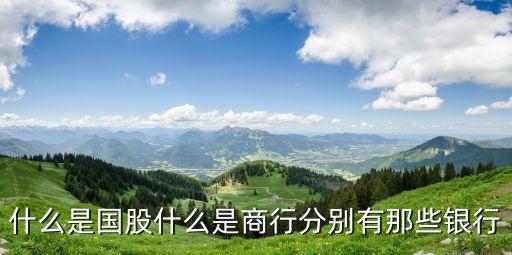 什么是国股什么是商行分别有那些银行