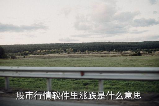 股市行情软件里涨跌是什么意思