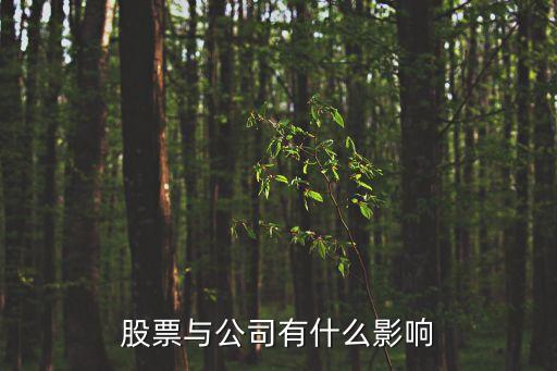 股票与公司有什么影响