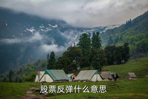 股票反弹什么意思