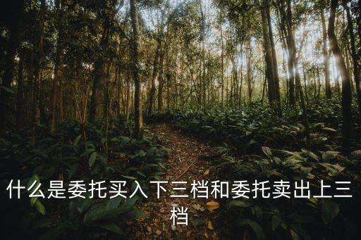 什么是委托买入下三档和委托卖出上三档