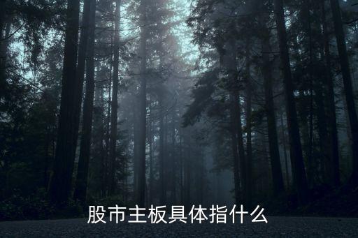 股市主板具体指什么