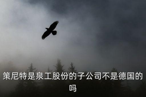 策尼特是泉工股份的子公司不是德国的吗