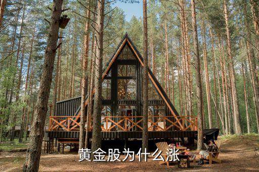 黄金股为什么涨