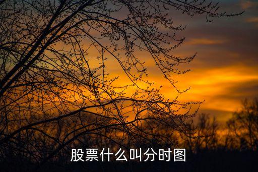 股票什么叫分时图