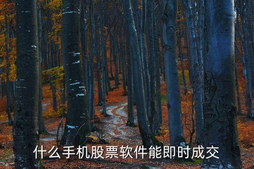 什么手机股票软件能即时成交