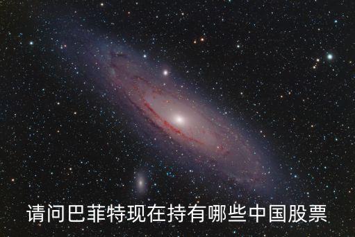 请问巴菲特现在持有哪些中国股票