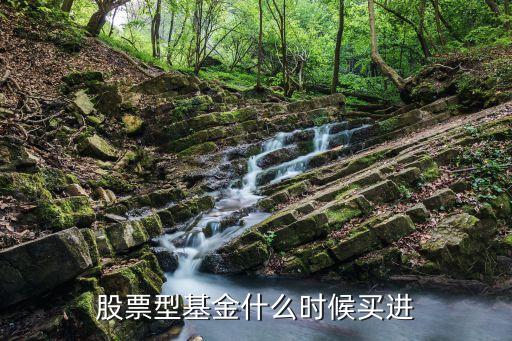 股票基金什么时候开始买，股票型基金什么时候买进