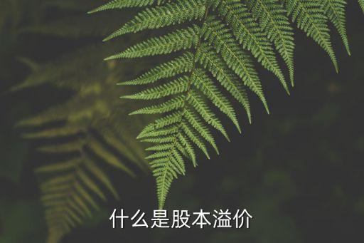 什么是股票溢价，什么叫股票溢价呢