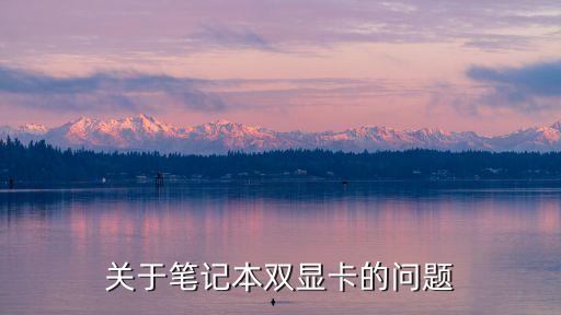 关于笔记本双显卡的问题