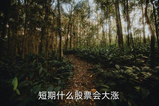 短期什么股票会大涨