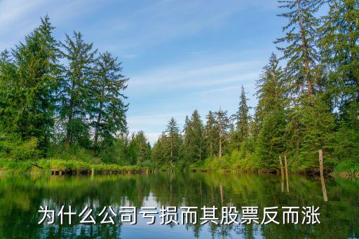 亏损为什么股票涨得很好，揭秘公司一直在亏钱为什么股票还一直上涨