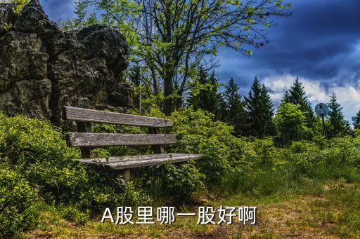 A股里哪一股好啊