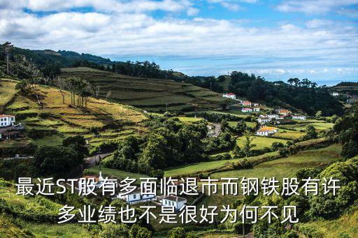 为什么退市的股票那么少，最近ST股有多面临退市而钢铁股有许多业绩也不是很好为何不见