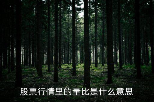 股票行情里的量比是什么意思