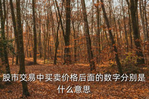 股市交易中买卖价格后面的数字分别是什么意思